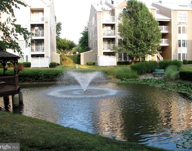 12245 Fairfield House Drive - Photo Thumbnail 16