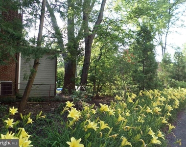 4600 Connecticut Avenue Nw - Photo Thumbnail 18