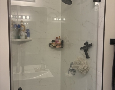1456 W Addison Street - Photo Thumbnail 17