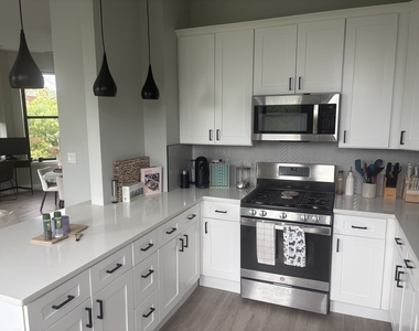 1456 W Addison Street - Photo Thumbnail 6