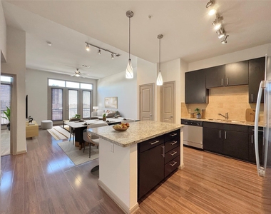 2700 Brazos Street - Photo Thumbnail 1