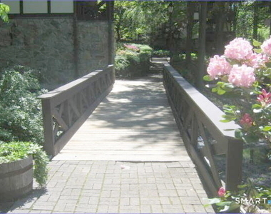 50 Aiken Street - Photo Thumbnail 16