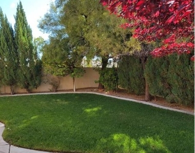 10509 Horseshoe Falls Court - Photo Thumbnail 2