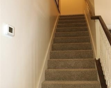 629 Park Place Drive - Photo Thumbnail 8