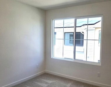 2586 Delphinium - Photo Thumbnail 19