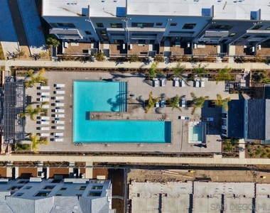 2586 Delphinium - Photo Thumbnail 26