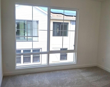 2586 Delphinium - Photo Thumbnail 22