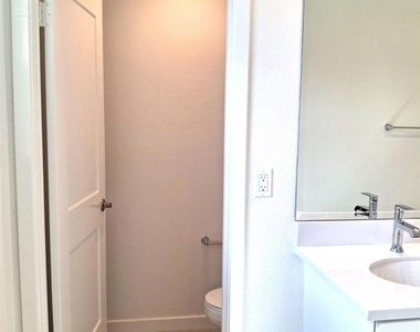 2586 Delphinium - Photo Thumbnail 16
