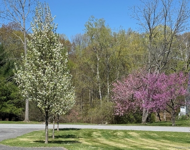 24 Mountain View Road - Photo Thumbnail 10