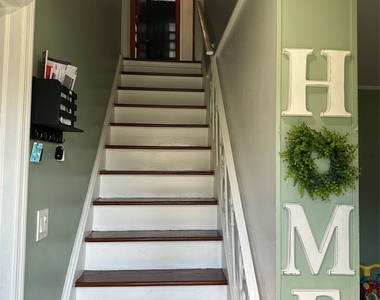 43 Malone Street - Photo Thumbnail 8