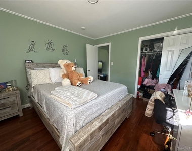 43 Malone Street - Photo Thumbnail 3