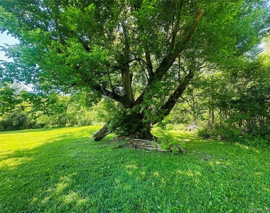 26 Spring St - Photo Thumbnail 27