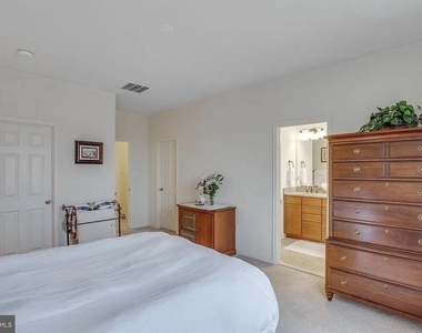 216 Apricot Street - Photo Thumbnail 15