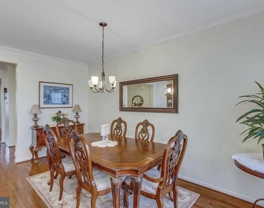 216 Apricot Street - Photo Thumbnail 11