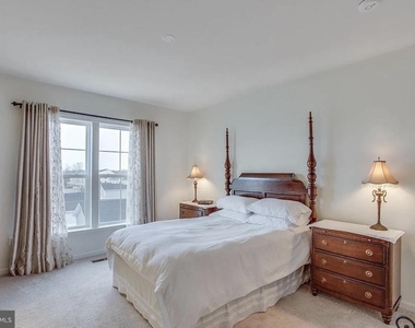 216 Apricot Street - Photo Thumbnail 20