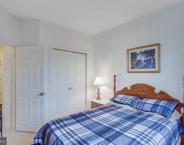 216 Apricot Street - Photo Thumbnail 19