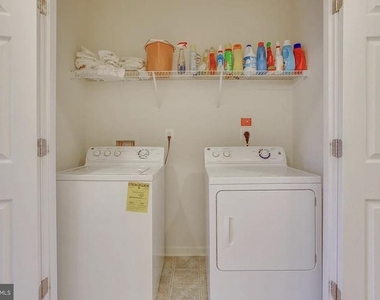 216 Apricot Street - Photo Thumbnail 24