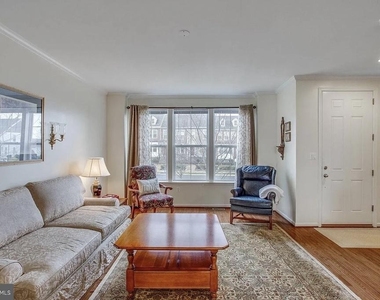 216 Apricot Street - Photo Thumbnail 5