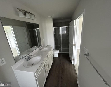 36072 Coyote - Photo Thumbnail 14