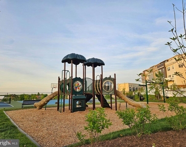 46320 Mount Milstead Terrace - Photo Thumbnail 17
