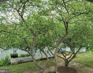 1659 Trellis Circle - Photo Thumbnail 30