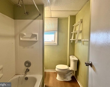 116 Tindall Avenue - Photo Thumbnail 6