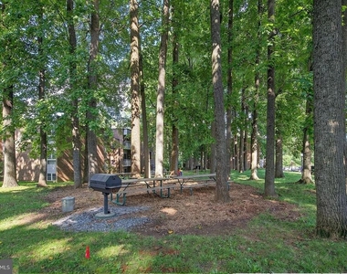 2305 Greenery Lane - Photo Thumbnail 16