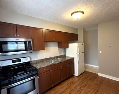 1007 Sheryl Lane - Photo Thumbnail 4