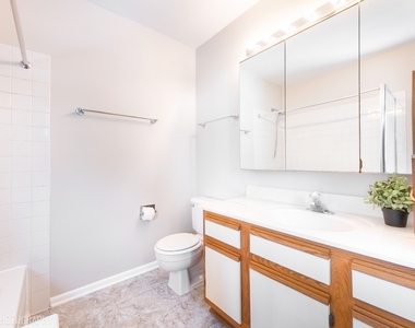 554 Abbeywood Drive - Photo Thumbnail 17