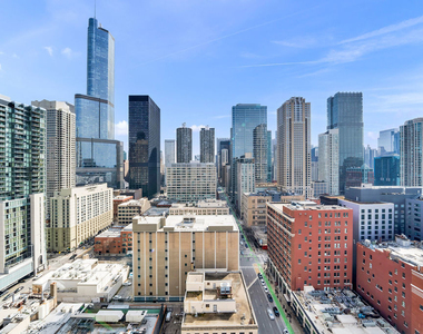 545 N Dearborn Street - Photo Thumbnail 15