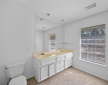 5803 Ancient Oaks Drive - Photo Thumbnail 26