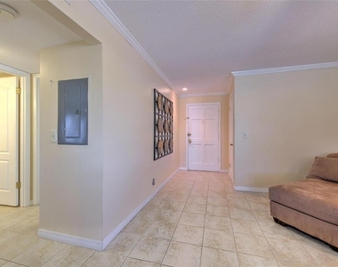 1008 Apollo Beach Boulevard - Photo Thumbnail 13