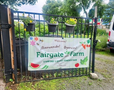 22 Fairgate Drive - Photo Thumbnail 11