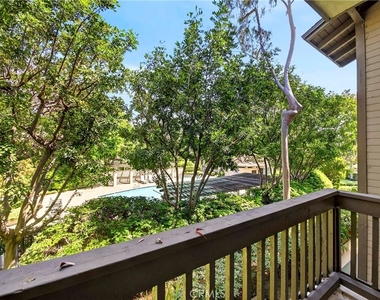 9 Madrona - Photo Thumbnail 18