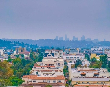 222 Monterey Road - Photo Thumbnail 59