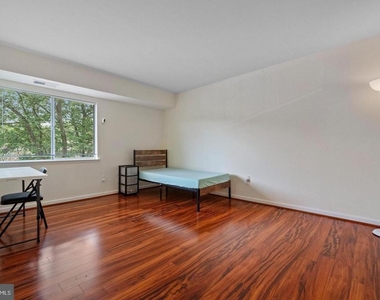 7984 Audubon Avenue - Photo Thumbnail 17