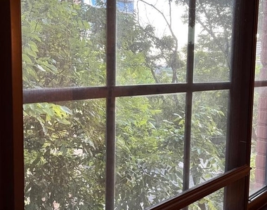 2429 Locust Street - Photo Thumbnail 3