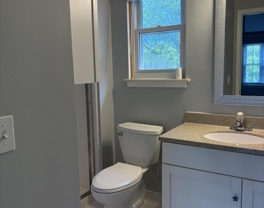 4101 Rolling Meadow Lane - Photo Thumbnail 15
