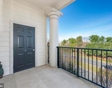 7 Booth Street - Photo Thumbnail 43
