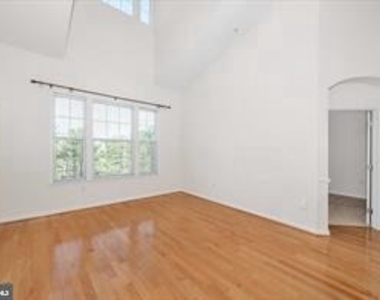 7 Booth Street - Photo Thumbnail 21