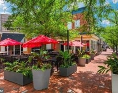 7 Booth Street - Photo Thumbnail 66