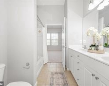 7 Booth Street - Photo Thumbnail 17