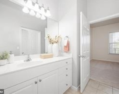 7 Booth Street - Photo Thumbnail 37
