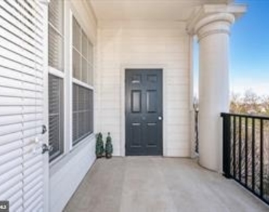 7 Booth Street - Photo Thumbnail 42