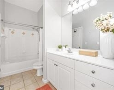 7 Booth Street - Photo Thumbnail 35
