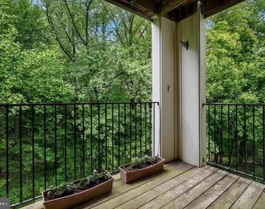 15313 Diamond Cove Terrace - Photo Thumbnail 7