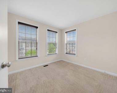 1169 Carinoso Circle - Photo Thumbnail 37