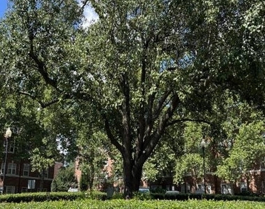 3401 38th Street Nw - Photo Thumbnail 7