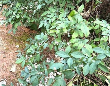 5876 Rue Villa Lane - Photo Thumbnail 13