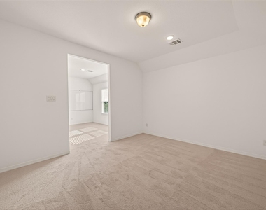 1006 Grey Dusk Court - Photo Thumbnail 36
